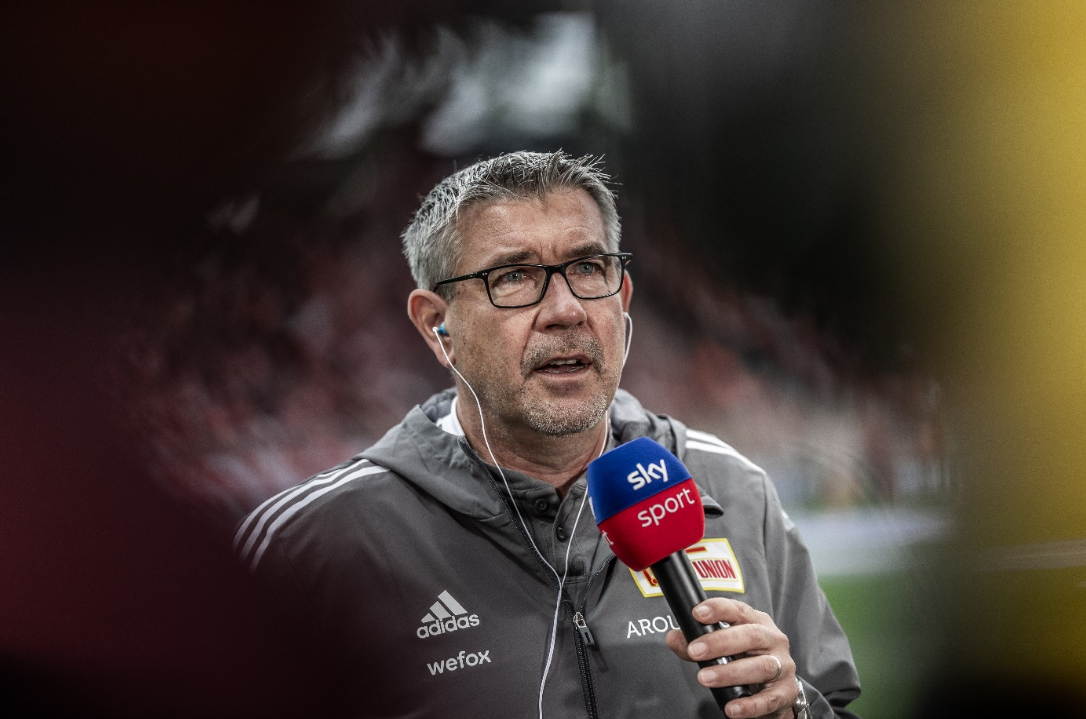 让它在搜索 让它在搜索